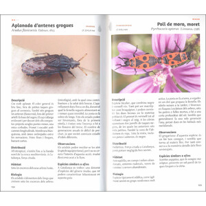 ELS HETERÒPTERS DE CATALUNYA 3