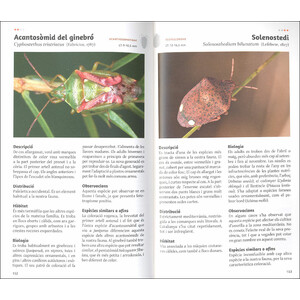 ELS HETERÒPTERS DE CATALUNYA 4