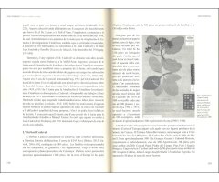JOAN CADEVALL, PROFESSOR, BOTÀNIC I GEÒGRAF 3