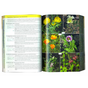 FLORA CANARIA. GUÍA DE IDENTIFICACIÓN_1