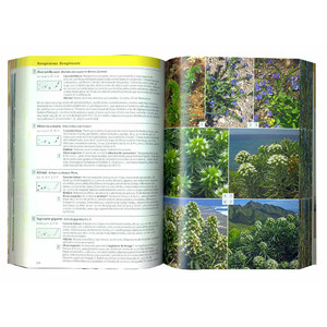 FLORA CANARIA. GUÍA DE IDENTIFICACIÓN 3