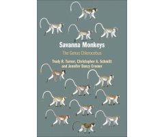 SAVANNA MONKEYS. THE GENUS CHLOROCEBUS