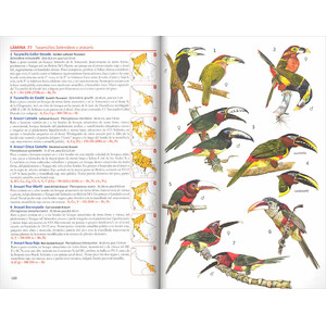 AVES DE BOLIVIA. GUIA DE CAMPO_1