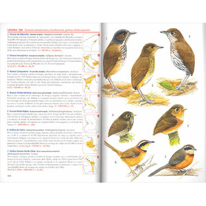 AVES DE BOLIVIA. GUIA DE CAMPO 3