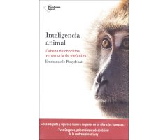 INTELIGENCIA ANIMAL. CABEZA DE CHORLITOS Y MEMORIA DE ELEFANTES 