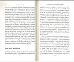 INTELIGENCIA ANIMAL. CABEZA DE CHORLITOS Y MEMORIA DE ELEFANTES 2