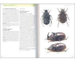 GUÍA DE LOS COLEÓPTEROS DE EUROPA 4