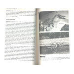THE HISTORY OF THE DINOSAURS IN 25 DISCOVERIES 3