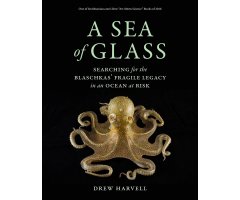A SEA OF GLASS. SEARCHING FOR THE BLASCHKAS\'  FRAGILE LEGACY IN AN OCEAN AT RISK