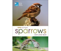 RSPB SPOTLIGHT SPARROWS