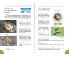 PECES, ANFIBIOS Y REPTILES DEL PARQUE NACIONAL DE ORDESA Y MONTE PERDIDO 3