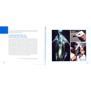 ENTRE ONES I PENYES. ELS AUCELLS MARINS PROTEGITS DE LES BALEARS/ ENTRE OLAS Y CANTILES. LAS AVES MARINAS PROTEGIDAS DE BALEARES 4