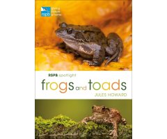RSPB SPOTLIGHT FROGS AND TOADS                                                                                                                        