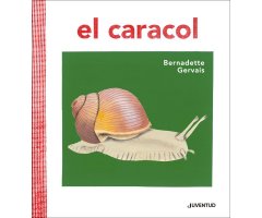 EL CARACOL    
