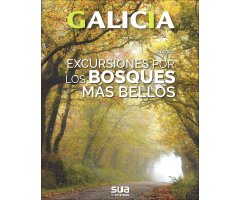 GALICIA. EXCURSIONES POR LOS BOSQUES MÁS BELLOS