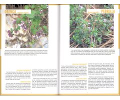 HERBARI MENGÍVOL. GUIA PER A L'ÚS GASTRONÒMIC DE LA FLORA SILVESTRE 3