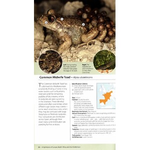 AMPHIBIANS OF EUROPE, NORTH AFRICA & THE MIDDLE EAST. A PHOTOGRAPHIC GUIDE_1