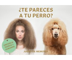 ¿TE PARECES A TU PERRO? JUEGO DE MEMORIA