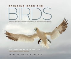 BRINGING BACK THE BIRDS. EXPLORING MIGRATION AND PRESERVING BIRDSCAPES THROUGHOUT THE AMERICAS