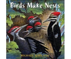 BIRDS MAKE NESTS           
