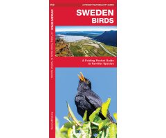 SWEDEN BIRDS. A FOLDING POCKET GUIDE TO FAMILIAR SPECIES