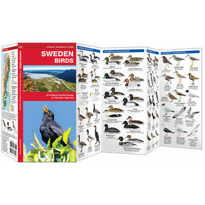 SWEDEN BIRDS. A FOLDING POCKET GUIDE TO FAMILIAR SPECIES_1