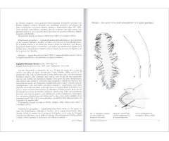 FAUNA IBÉRICA. VOL. 45 ANNELIDA POLYCHAETA V 2