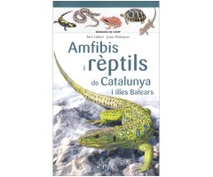 AMFIBIS I RÈPTILS DE CATALUNYA I ILLES BALEARS. MINIGUIA DE CAMP