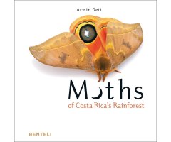 MOTHS OF COSTA RICA'S RAINFOREST