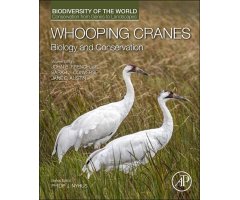 WHOOPING CRANES