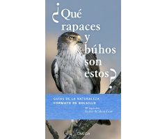 ¿QUÉ RAPACES Y BÚHOS SON ESTOS?