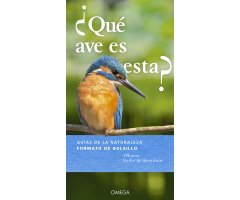 ¿QUÉ AVE ES ESTA?