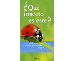 ¿QUÉ INSECTO ES ESTE?        