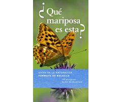 ¿QUÉ MARIPOSA ES ESTA?         