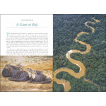 THE GIANT OTTER. GIANTS OF THE AMAZON 3