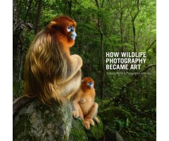 HOW WILDLIFE PHOTOGRAPHY BECAME ART. 55 YEARS OF WILDLIFE PHOTOGRAPHER OF THE YEAR
