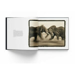 HOW WILDLIFE PHOTOGRAPHY BECAME ART. 55 YEARS OF WILDLIFE PHOTOGRAPHER OF THE YEAR 3