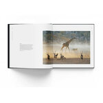 HOW WILDLIFE PHOTOGRAPHY BECAME ART. 55 YEARS OF WILDLIFE PHOTOGRAPHER OF THE YEAR 4