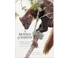 A RICHNESS OF MARTENS