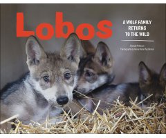LOBOS. A WOLF FAMILY RETURNS TO THE WILD