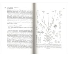 FLORA IBÉRICA. VOL. XVI (III) COMPOSITAE (PARTIM) 3