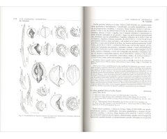 FLORA IBÉRICA. VOL. XVI (III) COMPOSITAE (PARTIM) 4