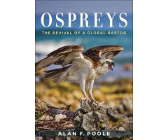 OSPREYS. THE REVIVAL OF A GLOBAL RAPTOR
