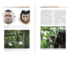 PRIMATES. BIOLOGÍA, COMPORTAMIENTO Y EVOLUCIÓN 2