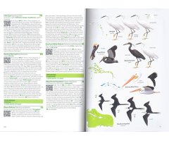 BIRDS OF THE WEST INDIES 3