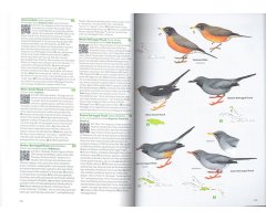 BIRDS OF THE WEST INDIES 4