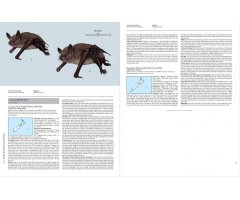 HANDBOOK OF THE MAMMALS OF THE WORLD. VOL. 9 BATS 3