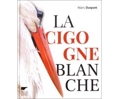 LA CIGOGNE BLANCHE