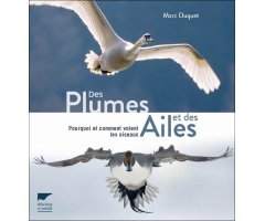 DES PLUMES ET DES AILES. POURQUOI ET COMMENT VOLENT LES OISEAUX