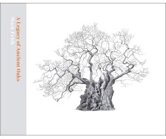 A LEGACY OF ANCIENT OAKS                               